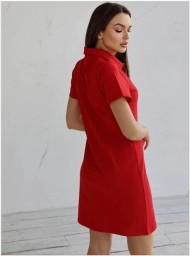 Спортивна сукня з коміром поло та вишивкою