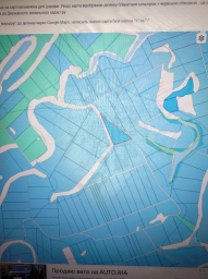 Вишгородський р.н.Пай 100га.