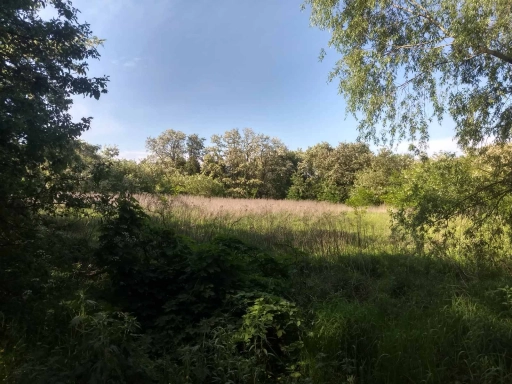 Земельна ділянка під будівництво площею 0,2060 га в с. Хлопків