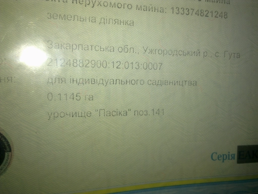Земельна ділянка, площею 0,1145 га в с. Кам’яницька Гута, урочище Пасіки