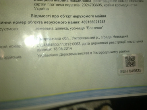 Земельна ділянка площею 0,09 га в с. Невицьке, урочище Блатище