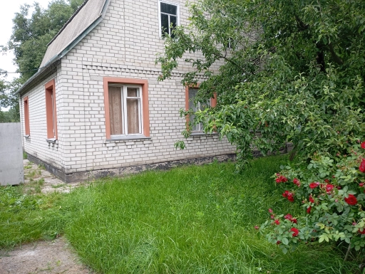 Невеликий будинок у Зазим'ї.