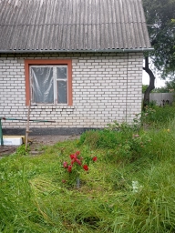 Невеликий будинок у Зазим'ї.